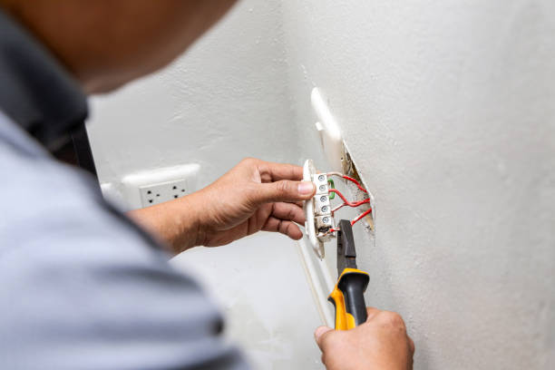 Best Electric Panel Repair  in Buhler, KS